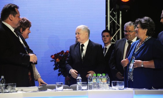 (galeria: 2)